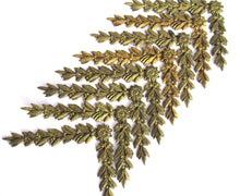 UpperDutch:,1 (ONE) Corner piece Empire embellishment. Brass Furniture Hardware. Authentic 1800's applique, Laurel or Olive motif.