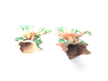 1 (ONE) Tree, Gnome Decoration, Startoys, Plastic Tree , Rien Poortvliet, BRB collectibles, David el gnomo.