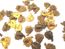 UpperDutch:Furniture applique,Set of 10 Antique Ornate Brass Leaves.