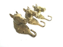 UpperDutch:,Set of 3 pcs Solid Brass Horse Head Wall hooks, Coat hooks, Hanger, horse head.