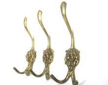 Coat hooks, Set of 3 Brass Lion Head Wall hooks