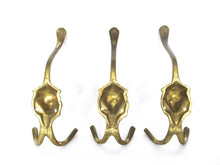 Coat hooks, Set of 3 Brass Lion Head Wall hooks