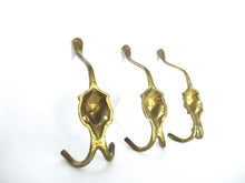 Coat hooks, Set of 3 Brass Lion Head Wall hooks
