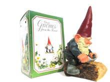 Garden Gnome after a design by Rien Poortvliet - David the Gnome - Working gnome.