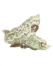 Antique Green Butterfly applique, Vintage patch, Crazy quilt.