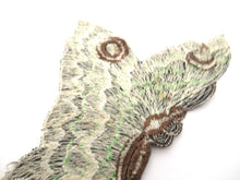 Antique Green Butterfly applique, Vintage patch, Crazy quilt.