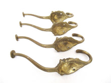 Lion hooks Solid Brass Lion Head Wall hook - Set of 4 Coat hooks. Decorative animal storage solution, coat hangers.
