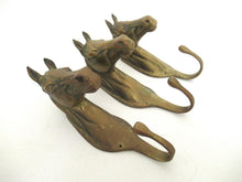 Set of 3 pcs Solid Brass Horse Head Wall hooks, Coat hooks, Hanger, horse head.