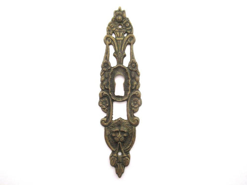 Lion Head Keyhole Cover, escutcheon, keyhole frame, victorian style.
