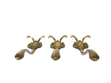 Set of 3 Solid Brass Ornate Victorian style wall hooks. Vintage Coat hooks.