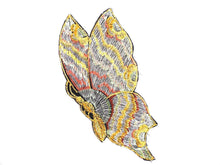 UpperDutch:Sewing Supplies,Butterfly, Applique, Authentic Collectible Butterfly applique, 1930s  embroidered applique. Vintage patch. Crazy quilt.
