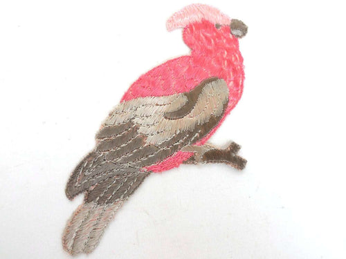 UpperDutch:Sewing Supplies,Antique Bird Applique, Cockatoo, 1930s Vintage Embroidered Bird  applique, application, patch. Vintage patch, sewing supply.