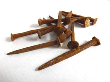 UpperDutch:Hooks and Hardware,Rusty hand forged nails 12 pcs 3", authentic antique restoration hardware. Rustic decoration, real iron spikes, scary supply,