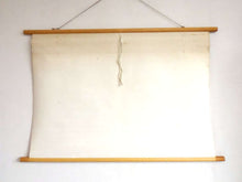 UpperDutch:School Chart,School Chart 'In the meadow' mole rat skeleton, duckbill,duck foot, mosquito and larvae. Vintage bird anatomical pull down Chart