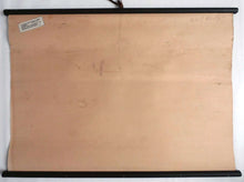 UpperDutch:School Chart,Pull Down Chart, School Chart, Juniper Tree. Vintage Botanical Pull Down Chart. Juniper Berry.