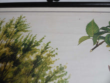 UpperDutch:School Chart,School Chart. Vintage Hornbeam Tree Pull Down Chart. Botanical Tree Print. Hornbeam tree.