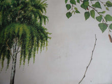 UpperDutch:School Chart,School Chart. Vintage Birch Tree Pull Down Chart. Botanical Tree Print. Birch tree.