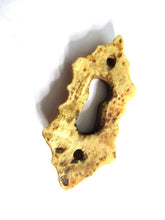UpperDutch:Keyhole cover,Keyhole cover, plate, bone escutcheon, keyhole frame.