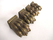 UpperDutch:,1 (ONE) Early 1900's Brass Lion Paw, Solid Brass Claw or Foot, Antique Cabinet Hardware. Authentic furniture restoration supplies