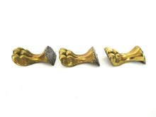 UpperDutch:Lion paw,Set 3 pcs Brass Lion Paws, Antique Solid Brass Claws / Feet, Cabinet Hardware, Foot.