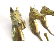 UpperDutch:Wall hook,Set of 3 pcs Solid Brass Horse Head Wall hooks, Coat hooks, Hanger, horse head.